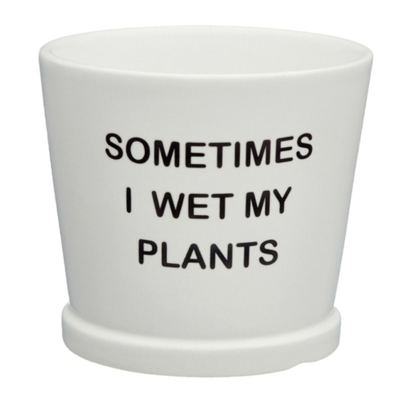 The Unbranded Brand Other - Humorous Ceramic Planter White 'Sometimes I Wet My Plants'